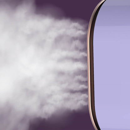 Portable Steam Iron for Home Travel