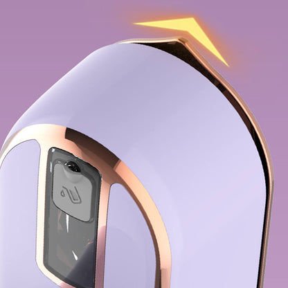Portable Steam Iron for Home Travel